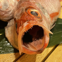 のどぐろ専門 銀座 中俣 - 