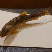 天 よこた - 稚鮎