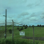 ゴーディーズ  - 