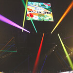 ゴーディーズ  - 