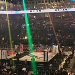 ゴーディーズ  - 