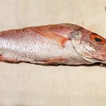 鮨処 音羽別館 - 