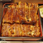 有楽町 うなぎのお宿 - 天竜川（ご飯大盛り）