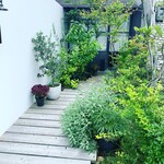 イルチリエージョ - 