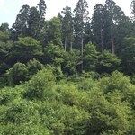 国民宿舎 森吉山荘 白糸 - 周りは山そして山