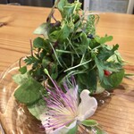 37+1 - 30種類以上の自家製・契約農家さんの野菜を使ったサラダと、醤油ベースのソース