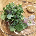 37+1 - 30種類以上の自家製・契約農家さんの野菜を使ったサラダと、醤油ベースのソース