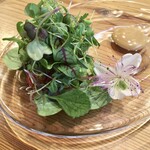 37+1 - 30種類以上の自家製・契約農家さんの野菜を使ったサラダと、醤油ベースのソース