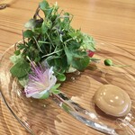 37+1 - 30種類以上の自家製・契約農家さんの野菜を使ったサラダと、醤油ベースのソース