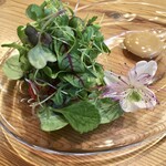 37+1 - 30種類以上の自家製・契約農家さんの野菜を使ったサラダと、醤油ベースのソース