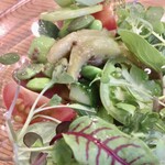 37+1 - 30種類以上の自家製・契約農家さんの野菜を使ったサラダ