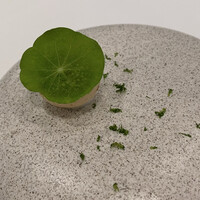 RISPETTO - 