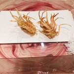 Anago Jiru Shiesaka Kaisen Tempura O-Uesuto - 