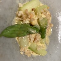 SCALAE - 