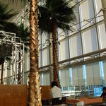 カフェトスカ - 