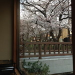 Ryouriya Otaya - 席から桜。