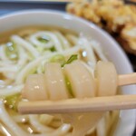 Teuchi Sanuki Udon Kouka - 麺アップ