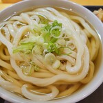 Teuchi Sanuki Udon Kouka - うどんアップ