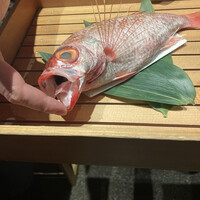 のどぐろ専門 銀座 中俣 - 