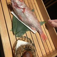 のどぐろ専門 銀座 中俣 - 