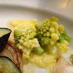 晴れ家 - ロマネスコが可愛い