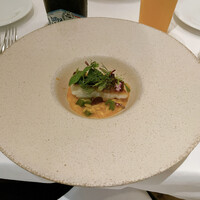ARMONICO - 