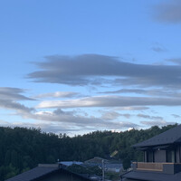 柳家 - 