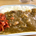 野田屋 - 手作り感のあるカレー