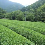 脇製茶場 - 