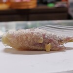 桶家乃隠居 - 茗荷