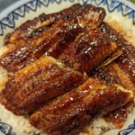 うなぎ料理 はし家 - 