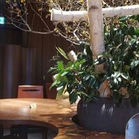 吉祥 吉祥寺店 - 