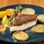 Pan-fried white fish of the day with lemon butter sauce