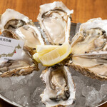 Oyster&Lobster Ambiente - 