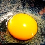 飛鳥 - 2013年01月訪問時撮影