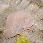 馳走 啐啄一十  - ⑤白甘鯛(静岡県駿河湾産、サスエ前田魚店、4日寝かせ)
      旨みが凝縮して濃いのですが、しつこくありません。
      寝かせは4日と浅いですが、そこは平野大将の手当て、上品な脂の旨みと甘みを引き出されています。