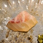 馳走 啐啄一十  - ⑧伊佐木(山口県産)
      産卵期は初夏～初秋、旬は初夏～初秋、産卵期が旬になり、その時には皮下に脂がのります。
      軽く醤油洗いしてあり伊佐木の脂の甘みある旨みを際だ立せています。