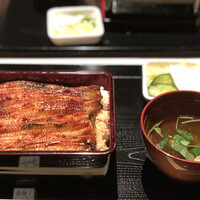 うなぎ 目白ぞろ芽 - 