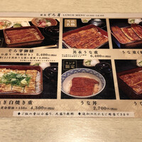 うなぎ 目白ぞろ芽 - 