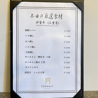 PONGA PREMIUM - 