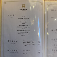 PONGA PREMIUM - 