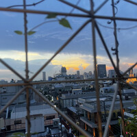 マーサーブランチ テラスハウス - 
