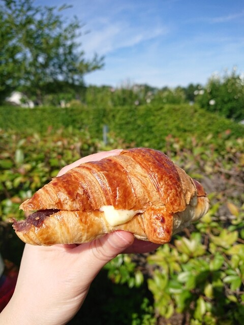 Chateraise PREMIUM YATSUDOKI グリーンマート桂（シャトレーゼ プレミアム ヤツドキ） - 泉中央（ケーキ）の写真