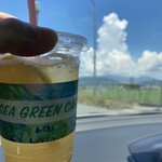 SEA GREEN CAFE - 