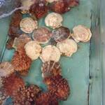 うに むらかみ - 新鮮なホタテ貝とホヤ