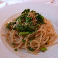 RISTORANTE REGA - 有機菜花とアンチョビのスパゲッティ