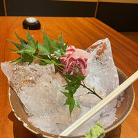 銀平 北新地店 - 鯛のお造り