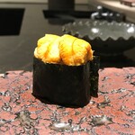 島津 - 青森 深浦町 ムラサキウニ