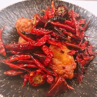 CINA New Modern Chinese - 