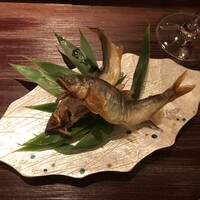 淡流 - 